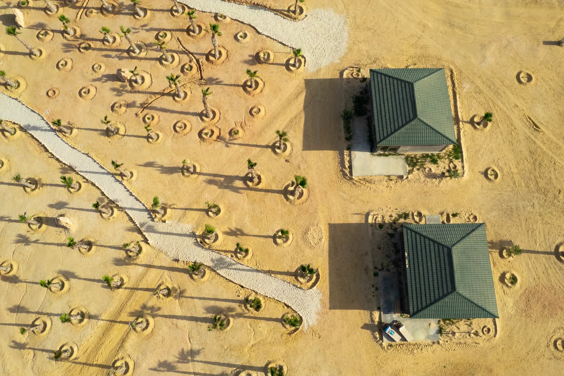 À propos de l'OASIS212