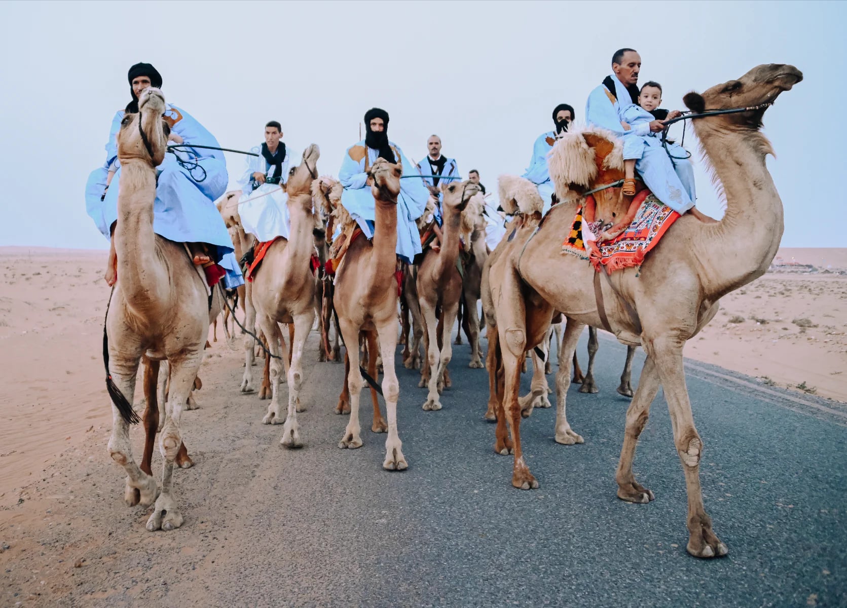Camel Riding - 1