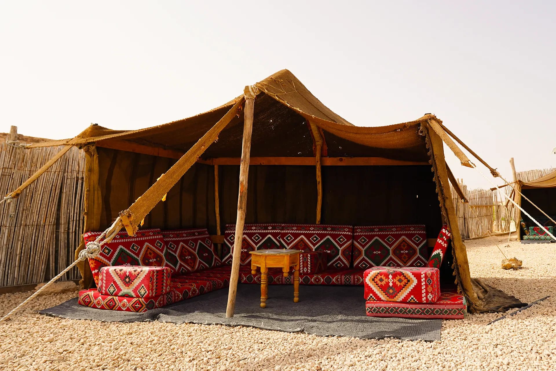 Camel Riding - 5